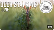 June - Why you should give it a miss? | Deer Stalkers Almanac