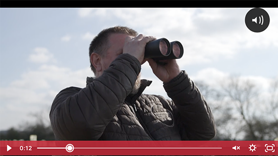 Gralloching Inspection Masterclass Trailer